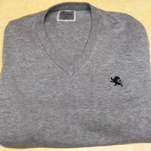 Express V-neck Sweater